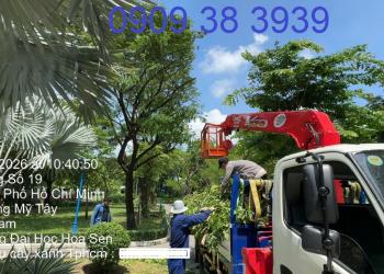 Lợi ích của việc trồng cây xanh trong đô thị