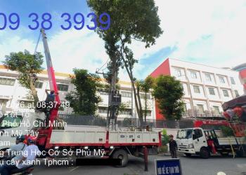 Tại sao bạn nên chọn HOÀNG GIA