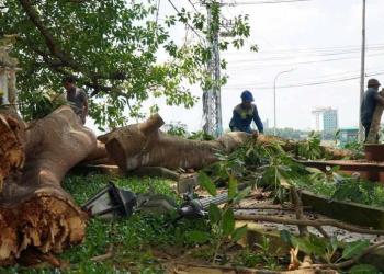cong ty ve sinh cong nghiep|công ty vệ sinh công nghiệp|ve sinh hoang gia|Vệ sinh hoàng gia